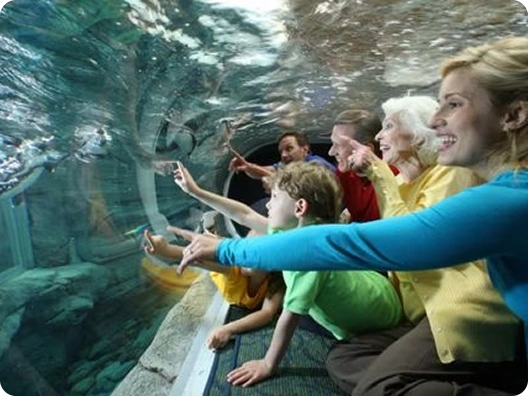 Things to do photo 5